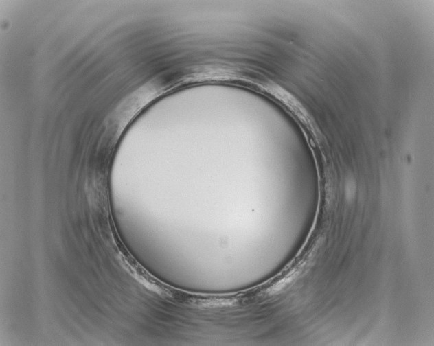 X0000062671337200601041000