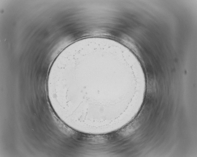 X0000062671338200601041000