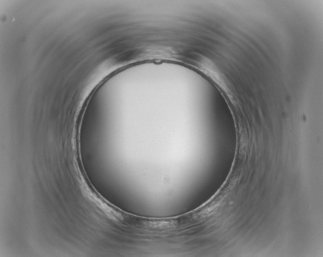 X0000062671339200601041000