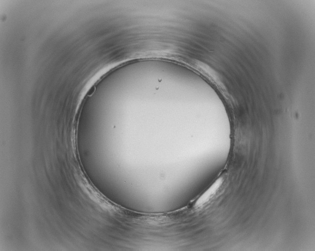 X0000062671340200601041000