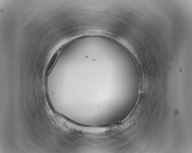 X0000062671342200601041000