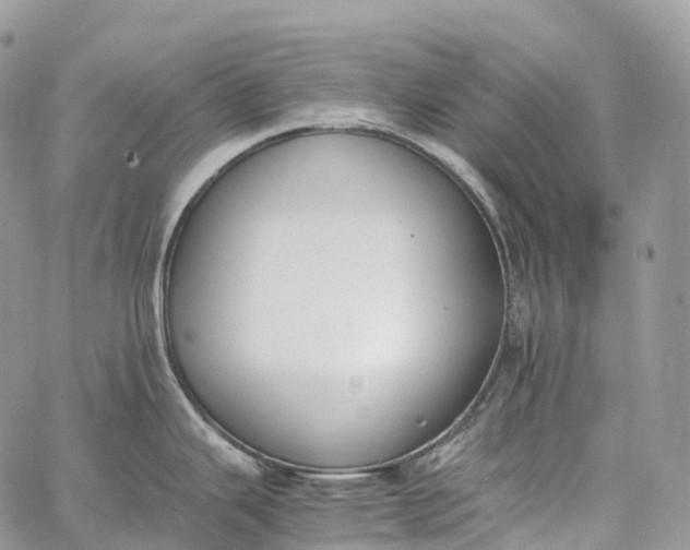 X0000062671343200601041000