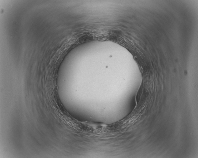 X0000062671345200601040959