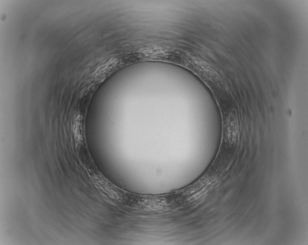 X0000062671346200601040959