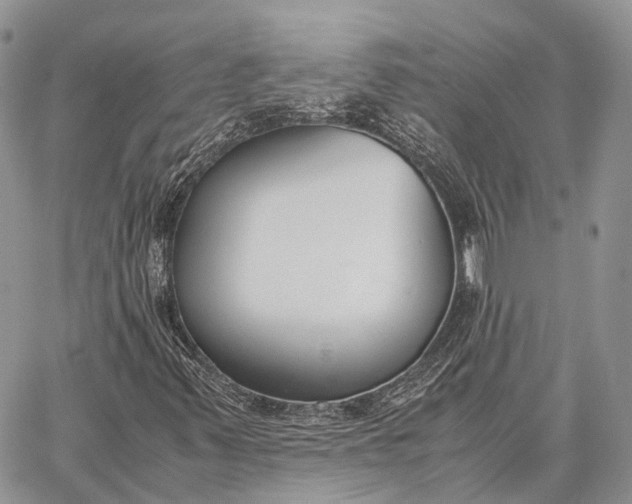 X0000062671347200601040959