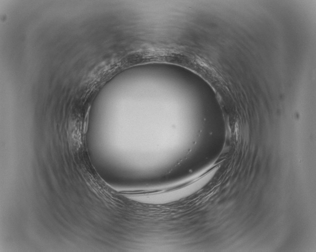 X0000062671348200601040959