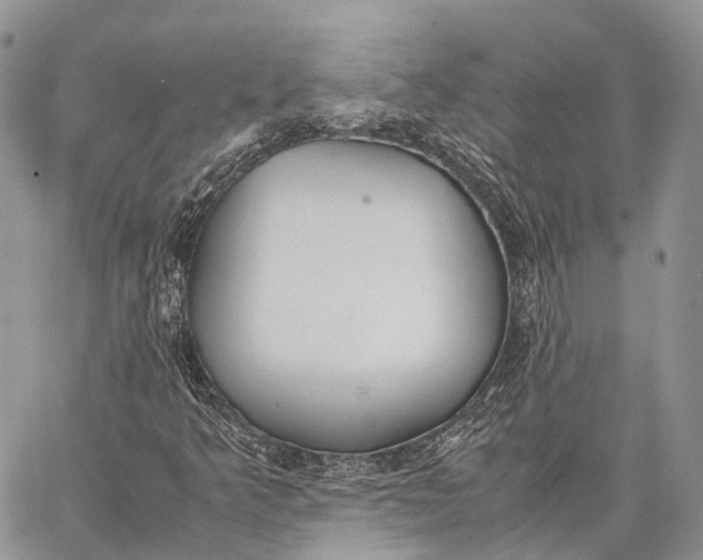 X0000062671349200601040959