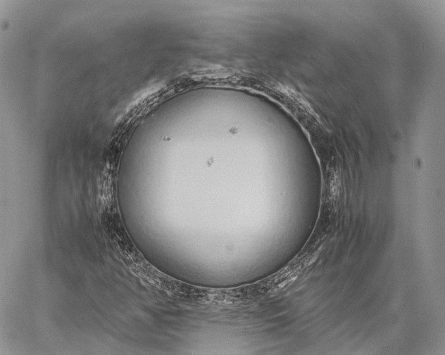 X0000062671350200601040959