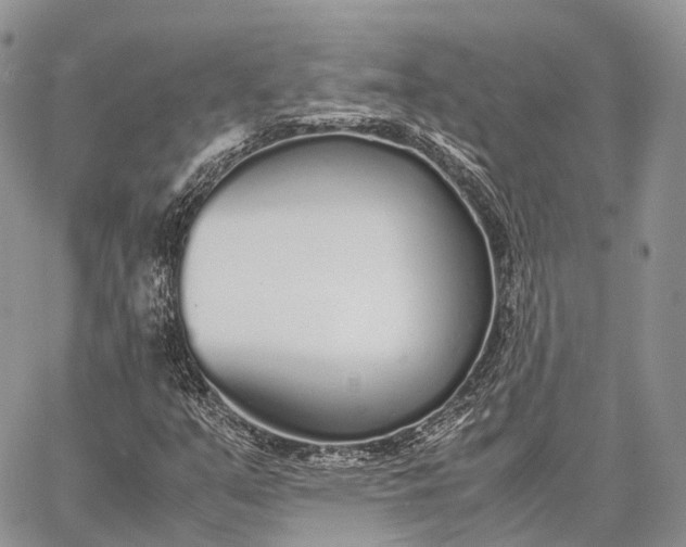 X0000062671351200601040959