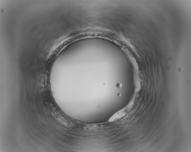 X0000062671352200601040959