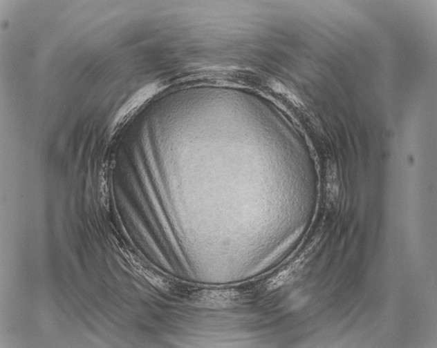 X0000062671354200601040959