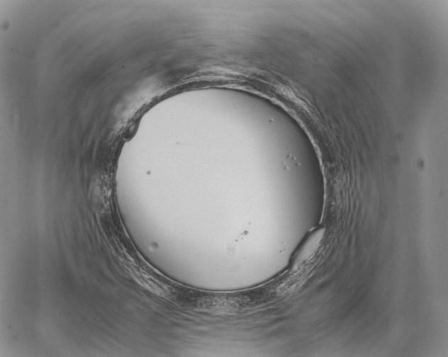 X0000062671355200601040959