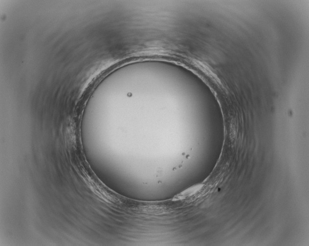 X0000062671356200601040959