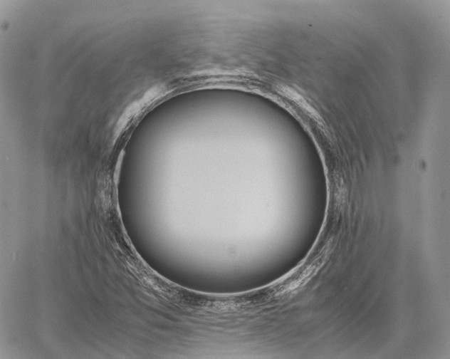 X0000062671357200601040959