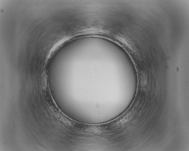 X0000062671358200601040959