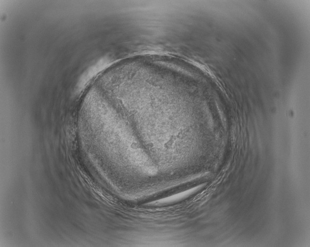 X0000062671359200601040959