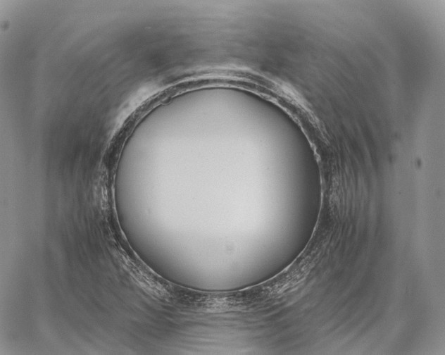 X0000062671360200601040959