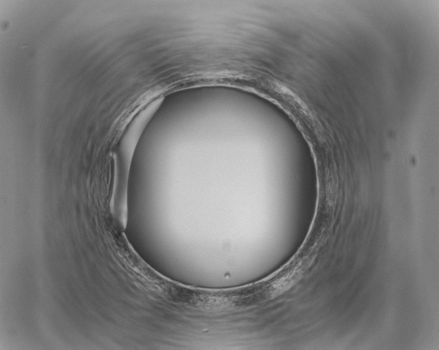 X0000062671361200601040959