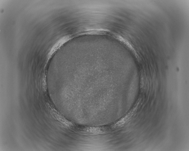 X0000062671362200601040959