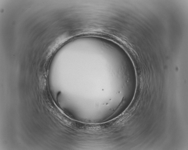 X0000062671363200601040959