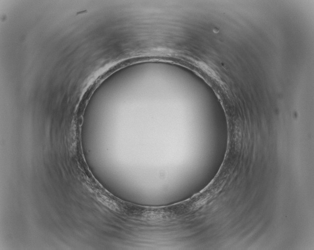 X0000062671364200601040959