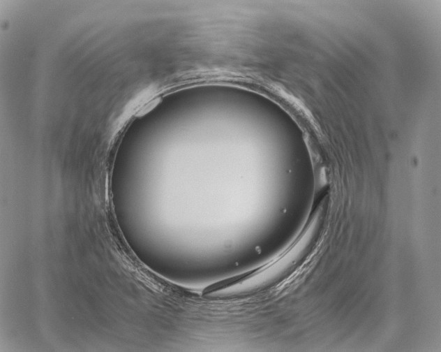 X0000062671365200601040959