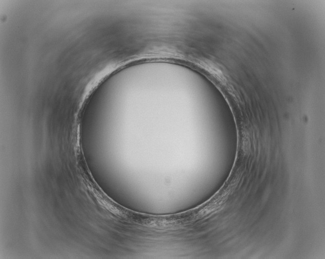 X0000062671366200601040959