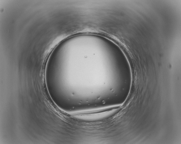 X0000062671367200601040959