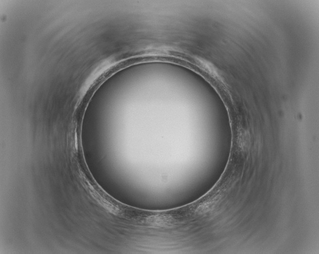 X0000062671368200601040958