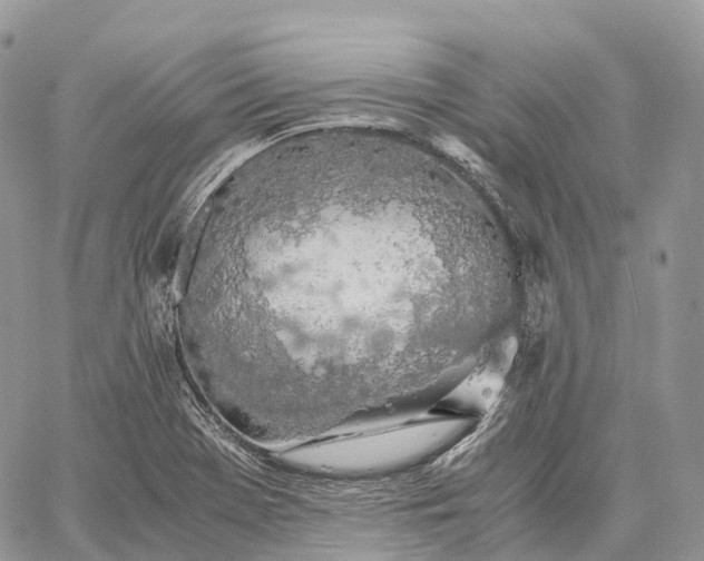 X0000062671369200601040958