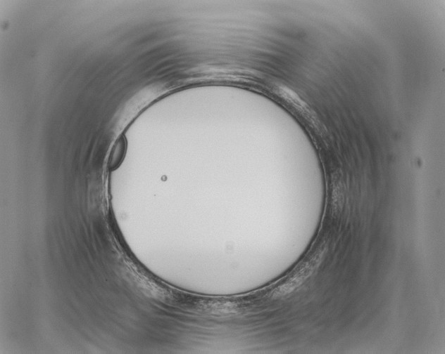 X0000062671370200601040958