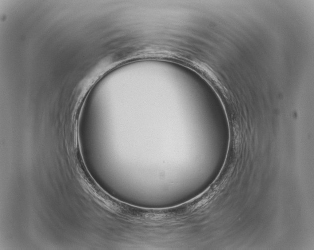 X0000062671371200601040958