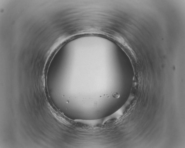 X0000062671372200601040958