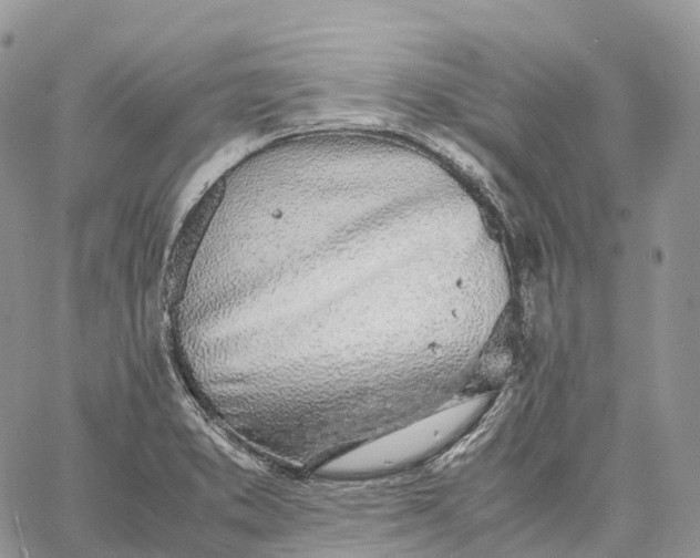 X0000062671373200601040958