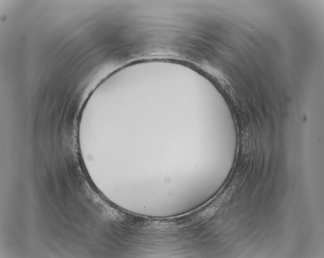 X0000062671374200601040958