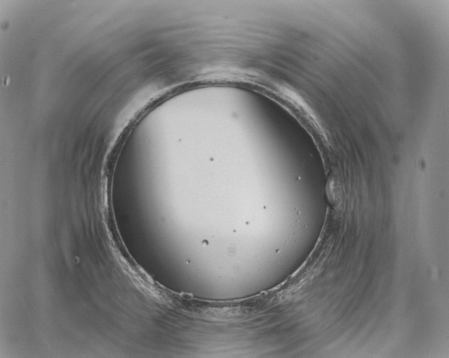 X0000062671376200601040958