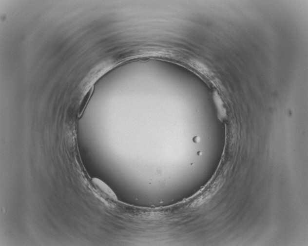 X0000062671377200601040958