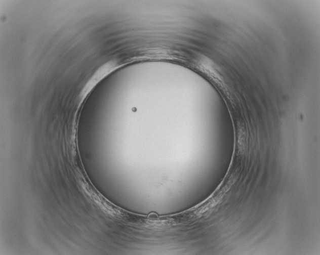 X0000062671378200601040958