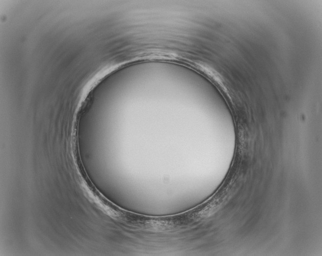 X0000062671379200601040958