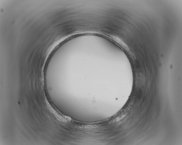 X0000062671380200601040958