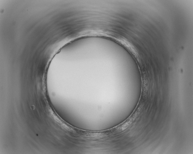 X0000062671382200601040958