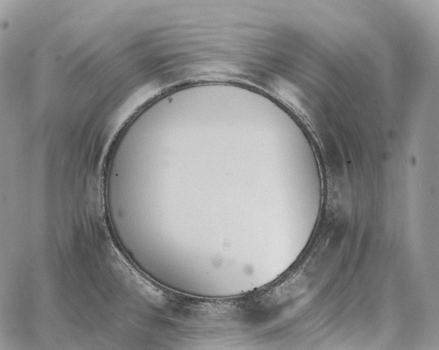 X0000062671384200601040958