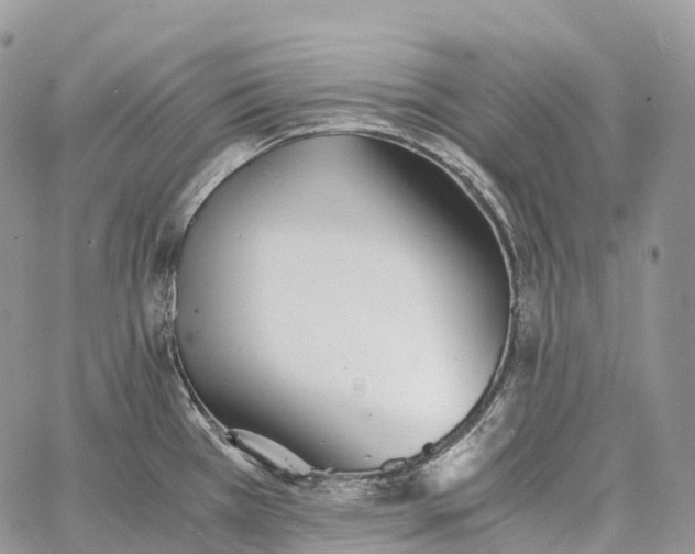 X0000062671385200601040958