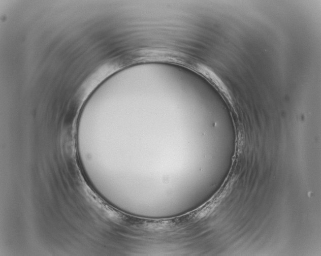 X0000062671386200601040958