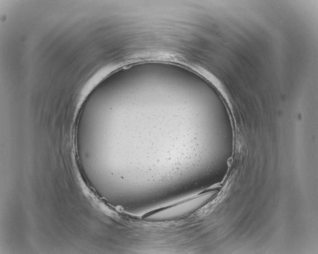 X0000062671389200601040958