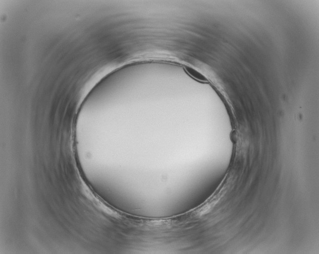 X0000062671390200601040958