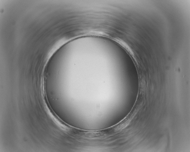 X0000062671391200601040958