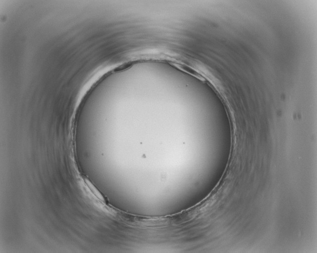 X0000062671392200601040958