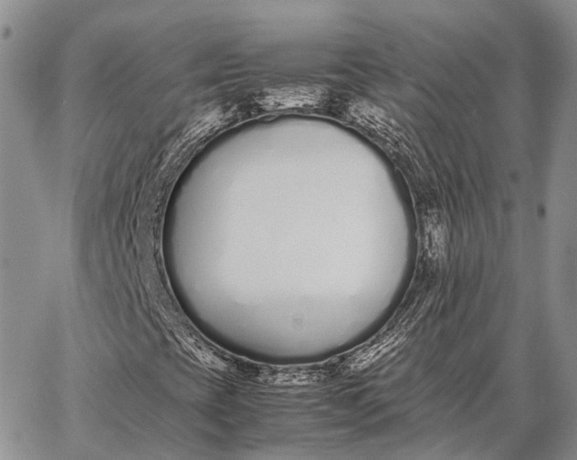 X0000062671393200601040957