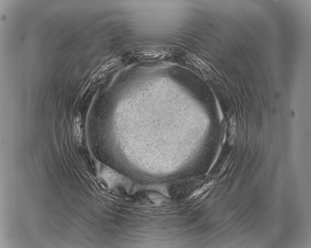 X0000062671394200601040957